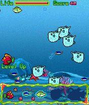 貪吃魚正式版 貪吃魚正式版