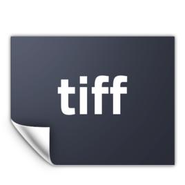TIFF[圖像檔案格式]