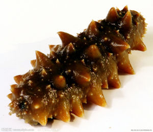 恩牌海參 恩牌海參