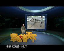 《軍迷淘天下》節目視頻截圖