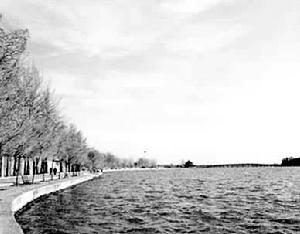 園林駁岸 園林駁岸