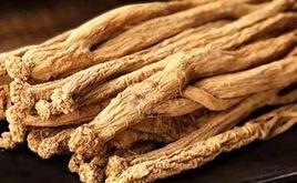 威寧黨參 威寧黨參