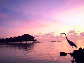 上海澱山湖 上海澱山湖