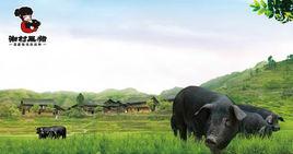 湘村黑豬 湘村黑豬