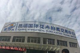 昆明國際花卉拍賣交易中心 昆明國際花卉拍賣交易中心