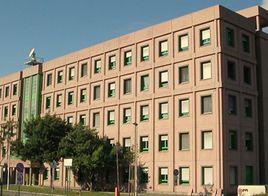 義大利羅馬二大 義大利羅馬二大