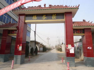 楊各莊村 楊各莊村