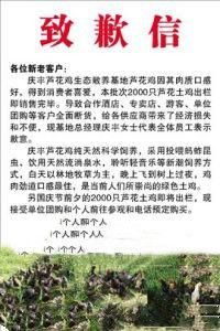 道歉信 道歉信