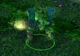 綠杖白牛 綠杖白牛