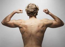 肩背部肌肉痛 肩背部肌肉痛