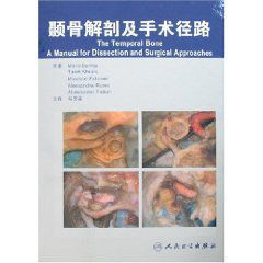 顳骨解剖及手術徑路 顳骨解剖及手術徑路