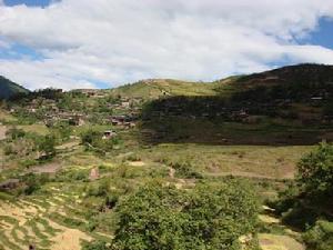 恩照東村 恩照東村