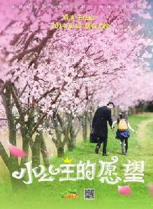 小公主的願望 小公主的願望