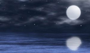 一一心識 一一心識