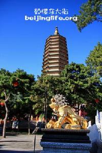 北京西山[北京西山]