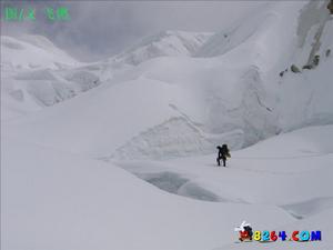 阿爾卑斯式攀登