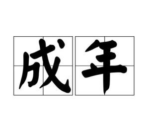 成年 成年