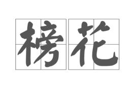 榜花 榜花