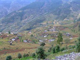 毛菇廠村 毛菇廠村