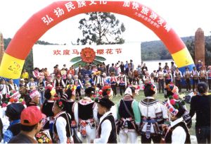 馬櫻花節 馬櫻花節