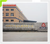 桐鄉市中辰化纖有限公司