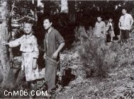 李威靈阿里山之鶯