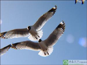 鳥島自然保護區