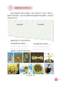 《植物有哪些相同特點》1