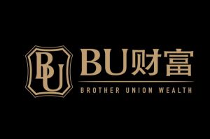 上海必佑投資管理有限公司