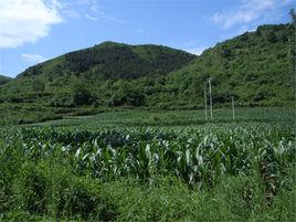 溝門子村 溝門子村