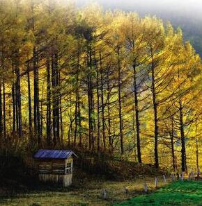 白清寨自然保護區 白清寨自然保護區