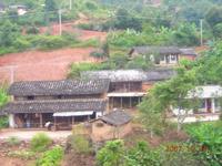 橄欖樹地自然村 橄欖樹地自然村