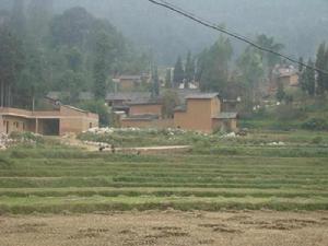 秧田沖村[雲南石林縣板橋鎮下轄村]