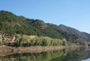 半城子村 半城子村