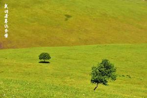 柳樹溝森林公園