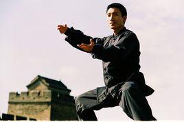 陳式太極拳老架二路 陳式太極拳老架二路