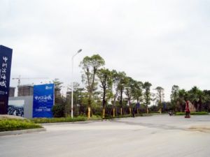 中洲森林公園 中洲森林公園