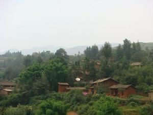 大治租村 大治租村