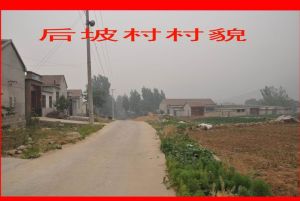 後坡村 後坡村