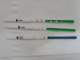 排卵試紙強陽 排卵試紙強陽