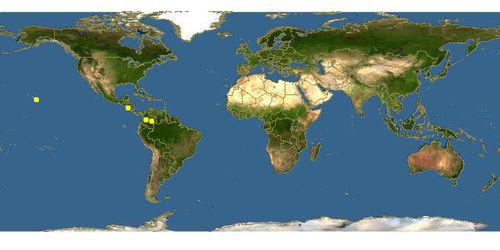 白鶴芋地理分布
