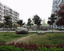 穀城縣三中 穀城縣三中