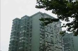 樂山八九村 樂山八九村