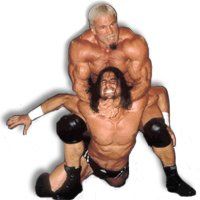 職業摔跤 職業摔跤