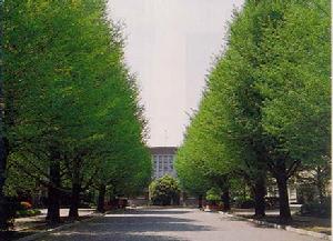 御茶之水女子大學