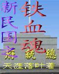 新民國之鐵血魂 新民國之鐵血魂