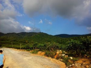 保梅嶺保護區 保梅嶺保護區