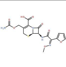 頭孢菌素18 頭孢菌素18