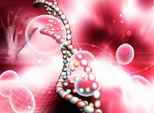 北京利普康生物科技有限公司