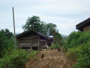 哪哈自然村-民居